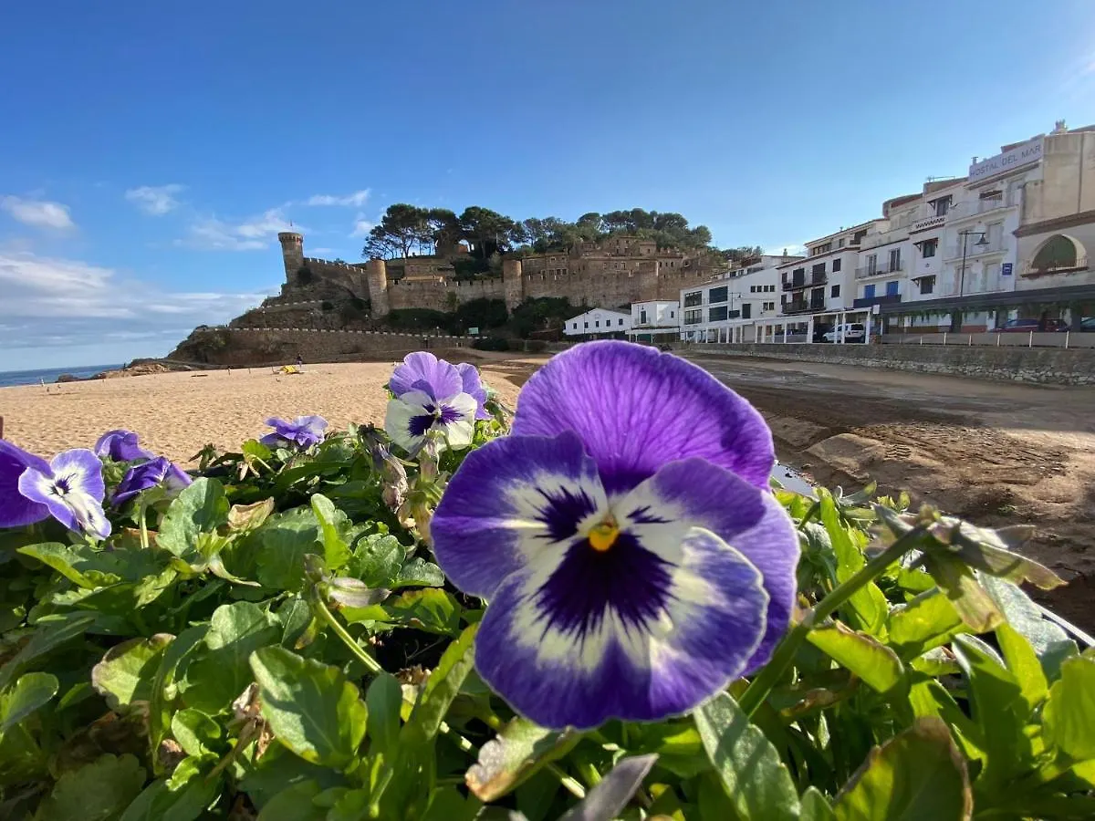 Sailor Apartment Sea Views Tossa de Mar